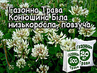 Професійне насіння. Насіння Газонна трава Білий Конюшина, 500 г