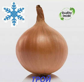 Цибуля сіянка озима Трой 8/21 (Troy) 1 кг / Broer