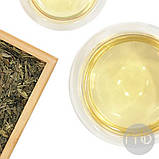 Чай зелений Сенча Макото розсипний чай 50 г, фото 4