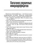 Шифріна Атлас хірургії паращитовидних залоз 2021 рік, фото 3