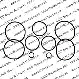 Ремкомплект гідроциліндру підіймання стріли екскаватора ЕО-4321, 10.21.04.000, фото 3