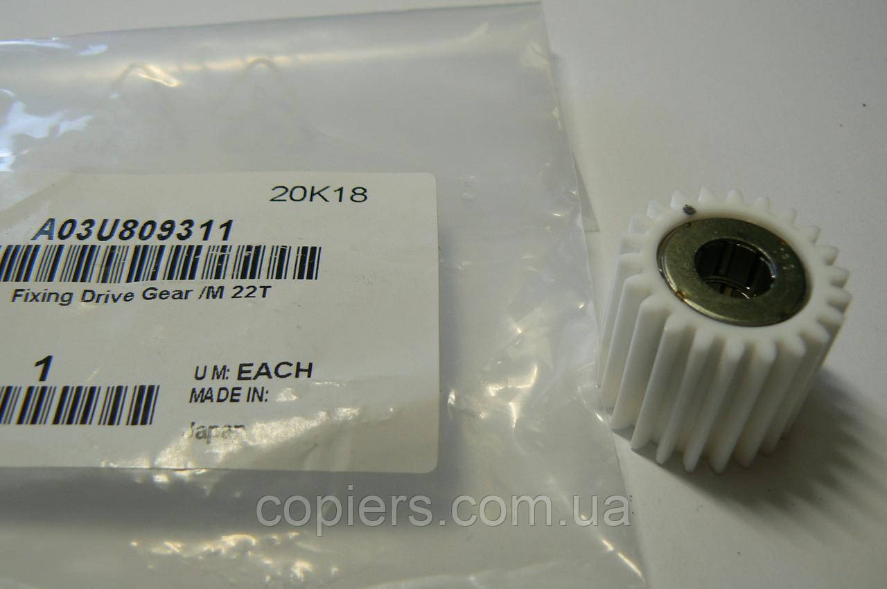 Шестірня печеньки 22T Fuser Drive Gear Bizhub c5500 c6500 c6000, A03U809300, A03U809311 оригінал Japan