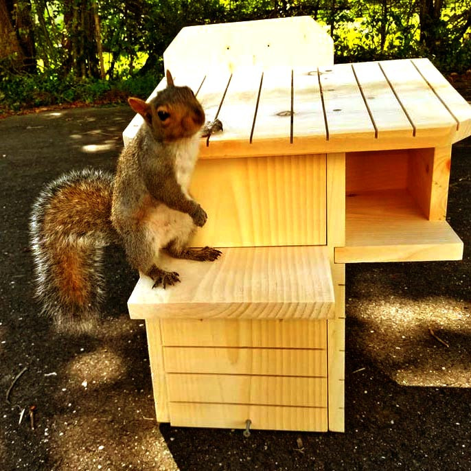 Будиночок для білок "Чилім" каррі