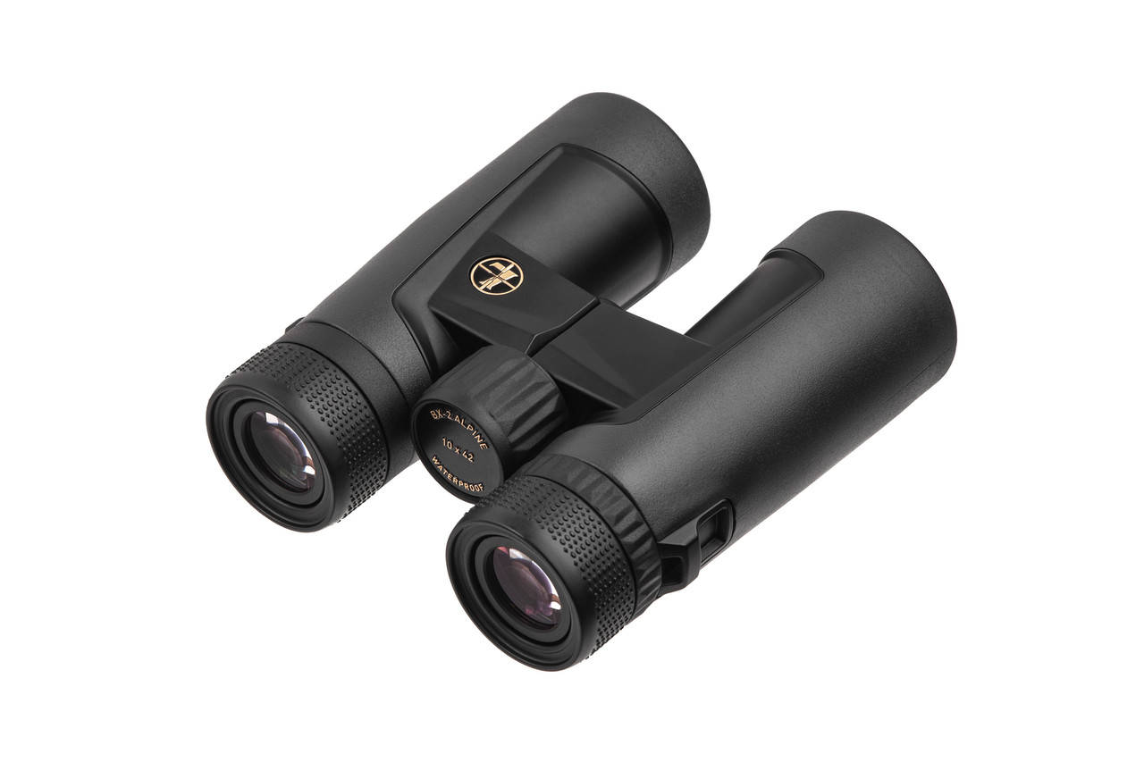 Бінокль LEUPOLD BX-2 Alpine 10x42mm Roof Shadow Gray