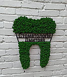 Декор в стоматологію, логотип стоматолога/стоматології. Зуб-лого з моху в стоматологію на стіну 30 см - 1 м, фото 4