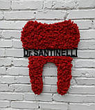 Декор в стоматологію, логотип стоматолога/стоматології. Зуб-лого з моху в стоматологію на стіну 30 см - 1 м, фото 6