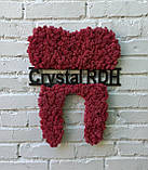 Декор в стоматологію, логотип стоматолога/стоматології. Зуб-лого з моху в стоматологію на стіну 30 см - 1 м, фото 2