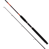 Коропове вудлище Feima Rage Pro Spin 150g 2.40 m