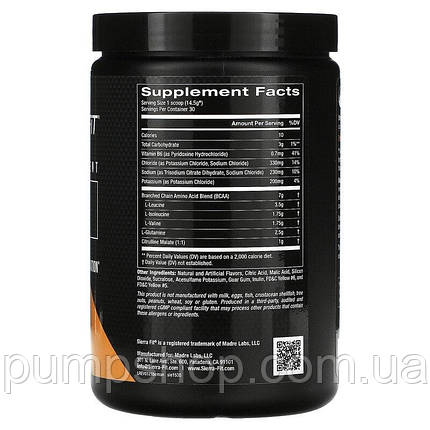 Амінокислоти бцаа Sierra Fit BCAA & Electrolytes 435 г ( смак манго ), фото 3