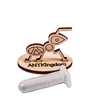 Антипобег antkingdom