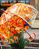 Прозора парасолька-тростина з клиновим листям 8 спиць купол грибком Купольна парасолька листя під дощем, фото 2