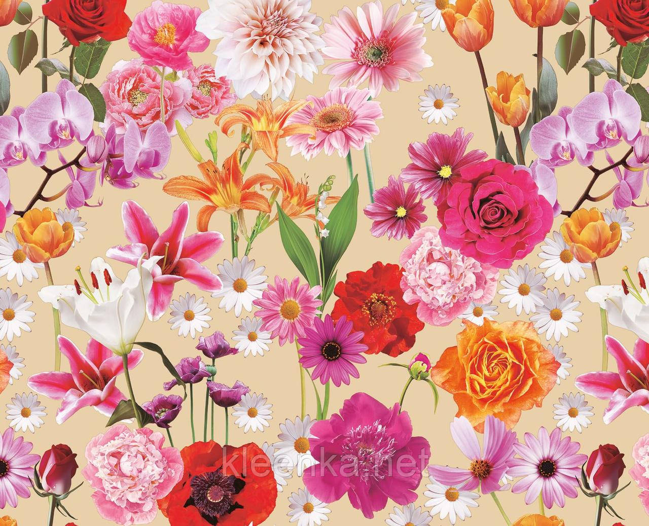 Клейонка на обідній стіл для дому та дачі