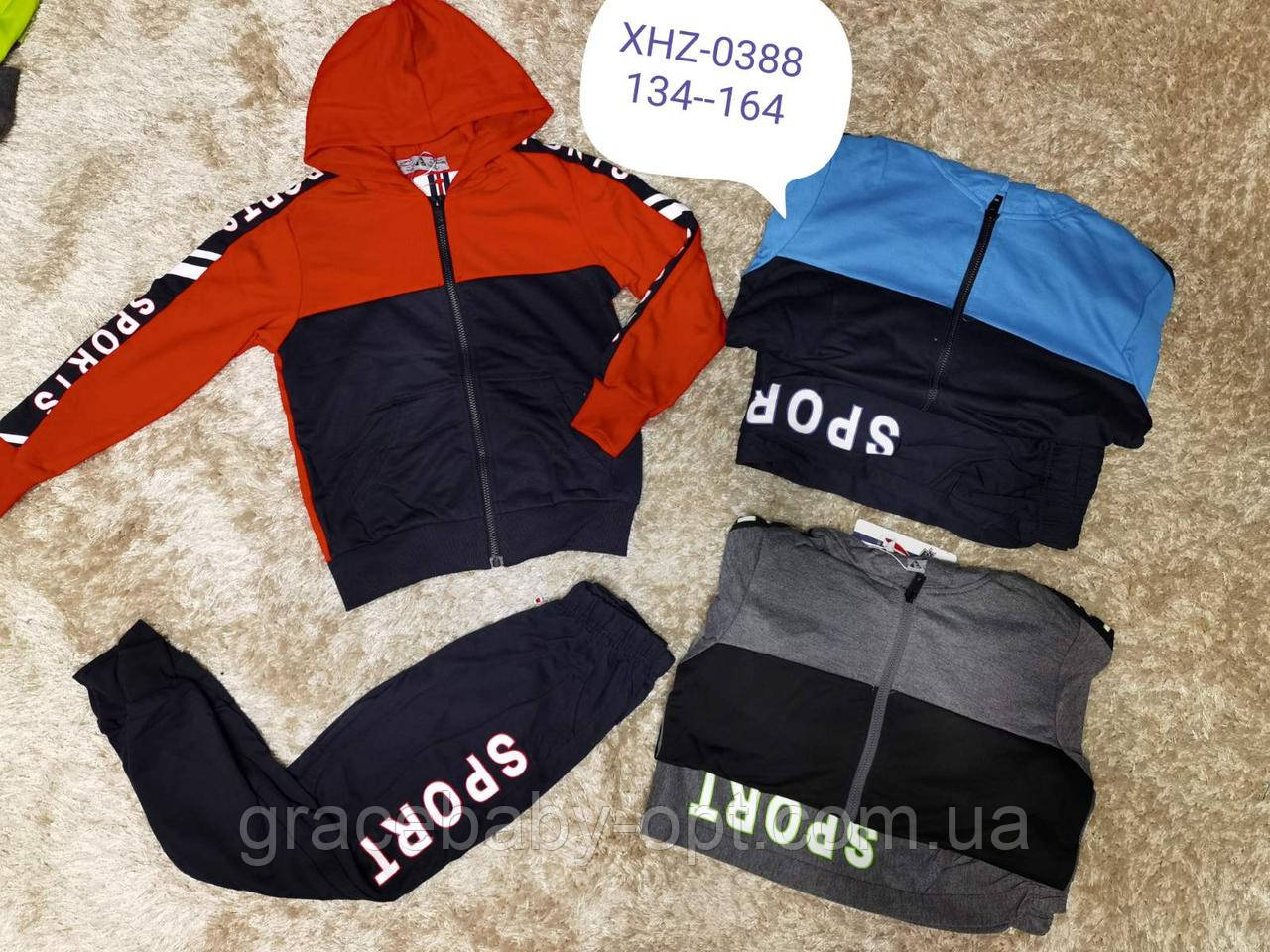 Спортивний костюм 2 в 1 для хлопчика оптом, Active Sport, 134-164 см, № XHZ-0388