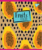 Зошит шкільна А5 48 клітка YES Fruits Color Крафт набір 5 шт. (765125), фото 2