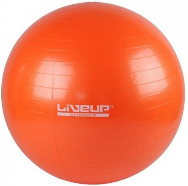 Фітбол LiveUp GYM BALL, фото 1