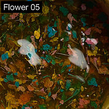 Гель із сухоцвітами №05