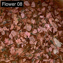 Гель із сухоцвітами №08