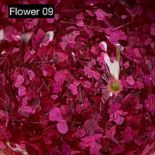 Гель із сухоцвітами №09