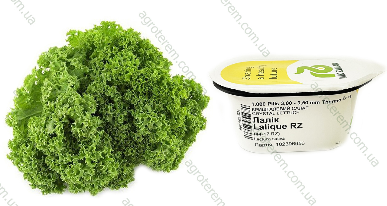 Салат айсберг листовий Лалік 1000 н.. (драже)