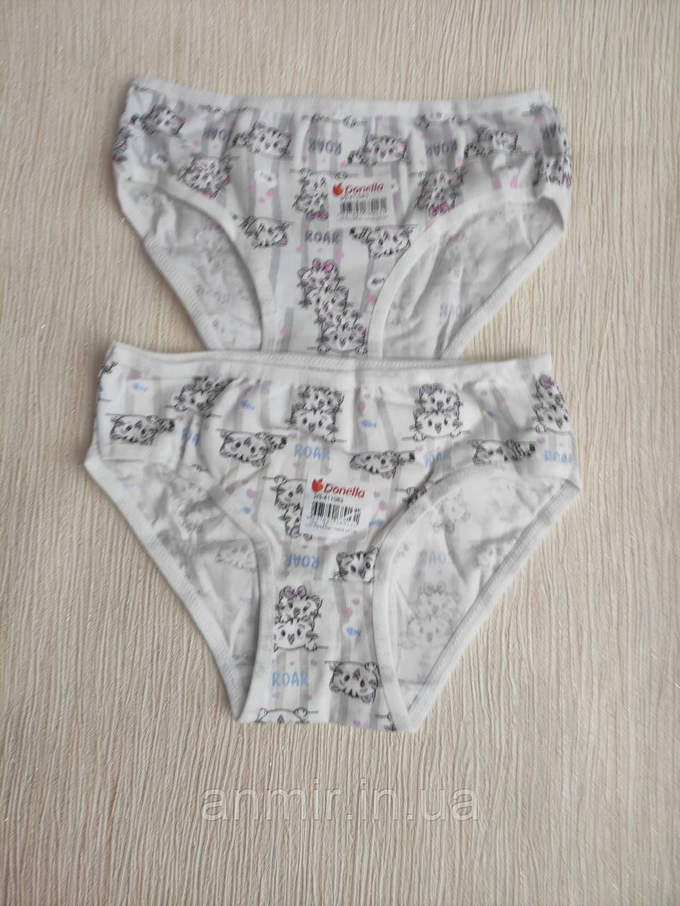 Купить Трусы детские трикотажные с рисунком на девочку Кошка размер от ...
