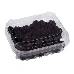 Пластиковий судок ПЕТ для пакування ягід 500 грамів T7