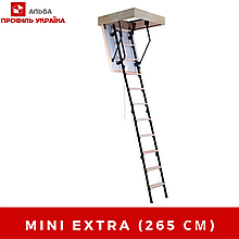 MINI EXTRA - СХОДИ