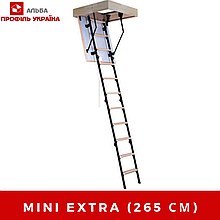 MINI TERMO - СХОДИ