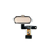 Кнопка Home SAMSUNG J530 J5(2017) золота зі шлейфом