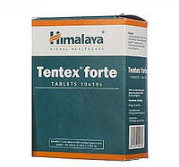 Tentex Forte,Тентекс Форте 100 таб - импотенция, эректильная дисфункция, усиливает либидо у мужчин, афродизиак