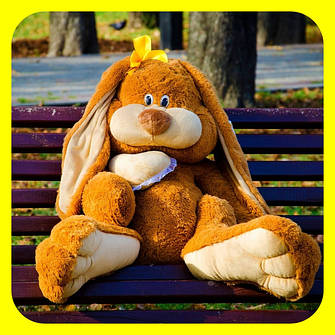 ЗАЙКА КНОПОЧКА