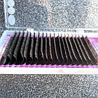 Вії Delightful Lashes Elite на стрічці MIX 0.07 В 4-7мм. Light Dark Chocolate, фото 3