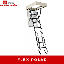 Flex Polar - СХОДИ