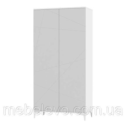 Шафа Ш2 Picassa / Пикасса 2300х1134х550мм біла аляска+попелястий софттач Art In Head, фото 1