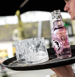 Посуд для басейнів та терас