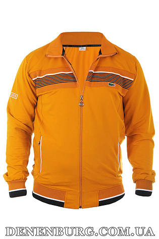Костюм спортивний LACOSTE 21-E-99 гірчичний, фото 2