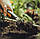 Садовий совок Fiskars Xact 1027043, фото 3