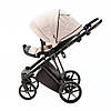 Коляска 2 в 1 Adamex Belissa TIP PS-33, фото 10