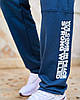 Чоловічі спортивні штани Tailer з трикотажу двунитка, демісезонні, Розміри 48-56, фото 6
