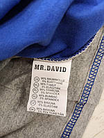 Реглан для хлопчиків з легким начосом оптом, Mr.David, 6-14 років, № CSQ-96033, фото 3