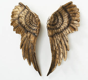 Настенный декор Крылья ангел комплект, W 6 см, L 22 см полистоун 2001147