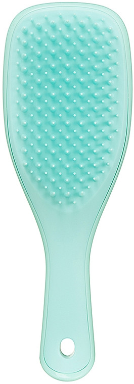 Щетка для волос Tangle Teezer The Wet Detangler Mini Baby Sea Green (16849Gu) - фото 1 - id-p1447887761