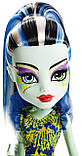 Monster High Great Scarrier Reef Frankie Великий скарьерный риф Френкі Штейн, фото 3