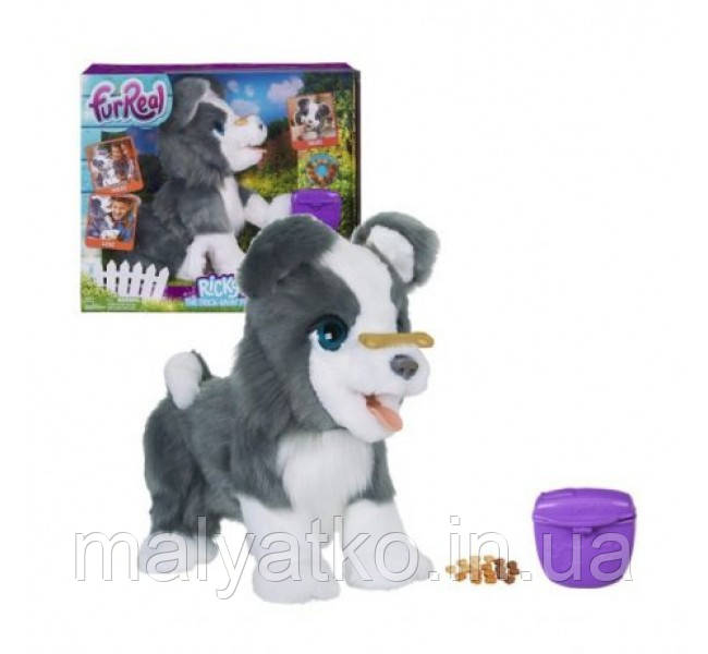 Інтерактивна іграшка Hasbro щеня Ріккі FurReal Friends Ricky Pet