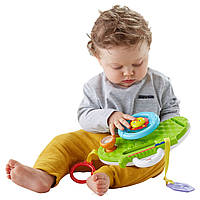 Развивающая игрушка Fisher-Price Руль Львенок DYW53 Rollin' & Strollin' Dashboard