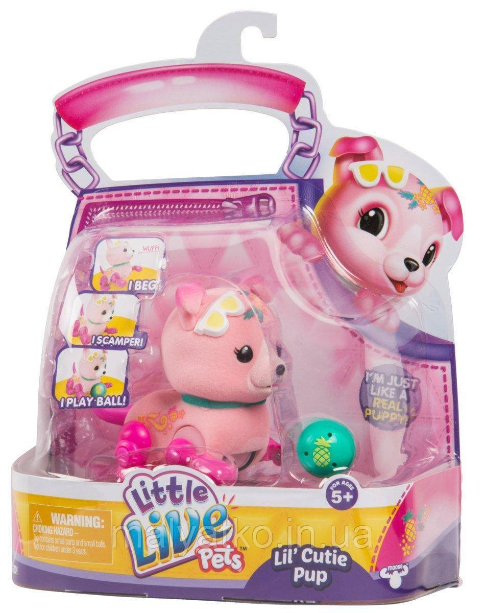 Інтерактивна іграшка щеня Little Live Pets щеня з м'ячиком Lil' Cutie Pups Shine Apple