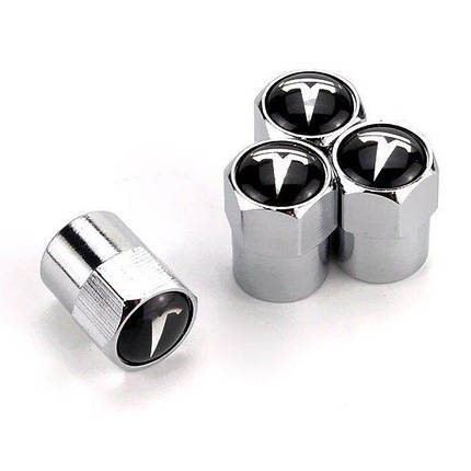 Ковпачки на ніпель для Tesla Alitek Short Silver Тесла, 4 шт, фото 2