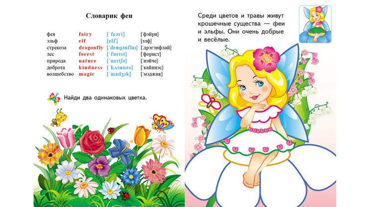 Пегас СКА5 Кольорові контури Феї і ельфи, фото 5