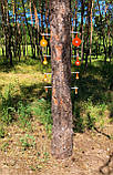 Мінітир "Вертушки в дерево 8 шт. крейди", для калібру 22LR. Сателит (739), фото 3