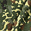 Лонгслив Gen.II Cotton Flecktarn, фото 7