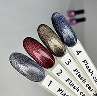 Колекція гель-лаків Elise Braun Flash Cat (10 мл)